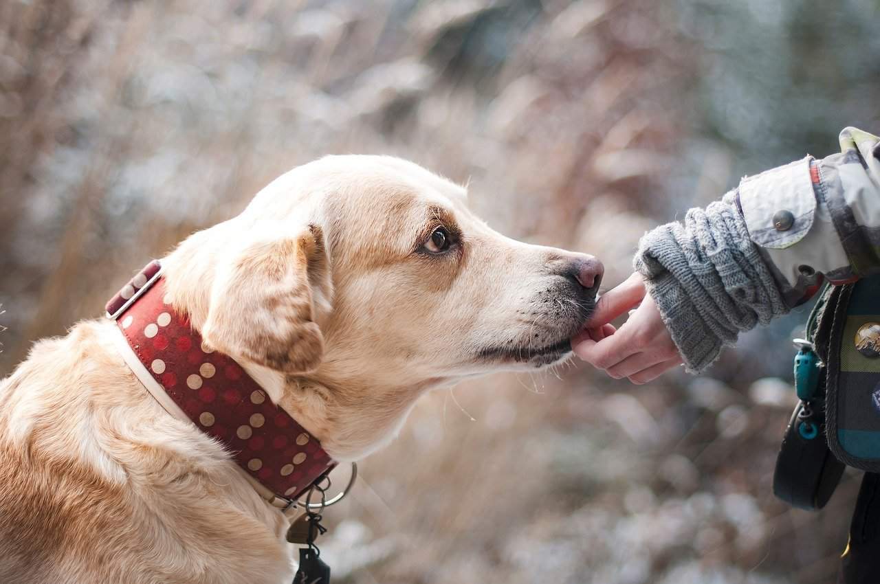 Practicing Gratitude for Happiness